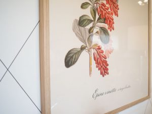 Proyecto de Decoración